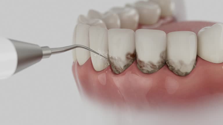 Reliable Dental contractor in Ramapo College of New Jersey, NJ by Dentist Open Now